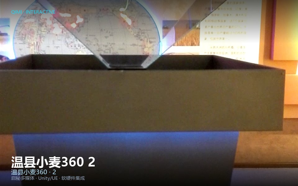 温县小麦360 2